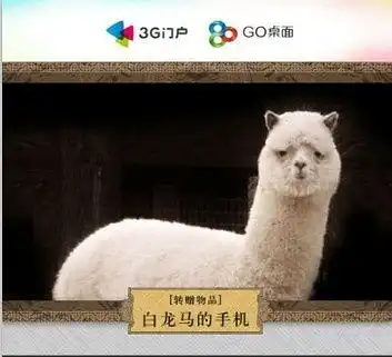 go乐100天西行团队的马是什么马