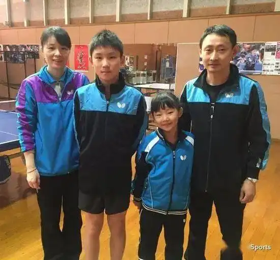 缘何选择日本对话张本智和爸爸中