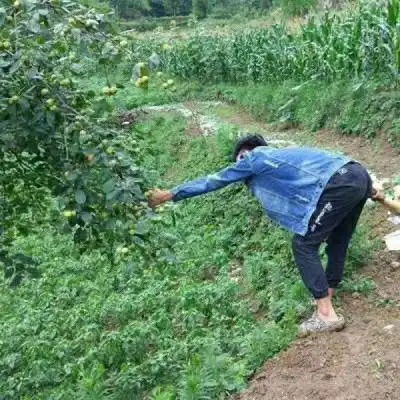 情侣头像搞笑逗比一对一对奇葩微信头像情侣专用