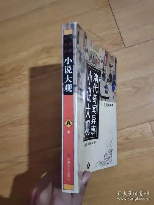 清代奇闻异事小说大观a卷