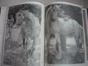 徐悲鸿画集素描部分人像,画稿,粉画,水彩画,八八年一版一印补图勿拍,