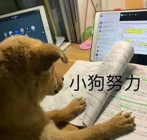 沙雕表情包沉醉于知识的芬芳