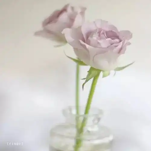 我渴望和你打架,也渴望抱抱你