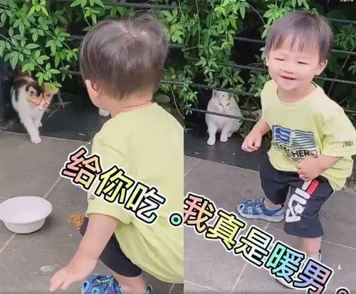 蔡少芬和陈法蓉逛街,带仨孩子关爱流浪动物,鱼蛋牵妈妈手好呆萌