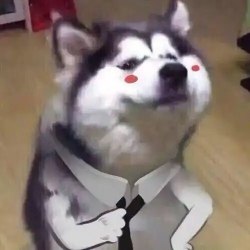 神反转的沙雕文案