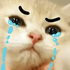 超萌小奶奶奶猫表情包,撒娇必备
