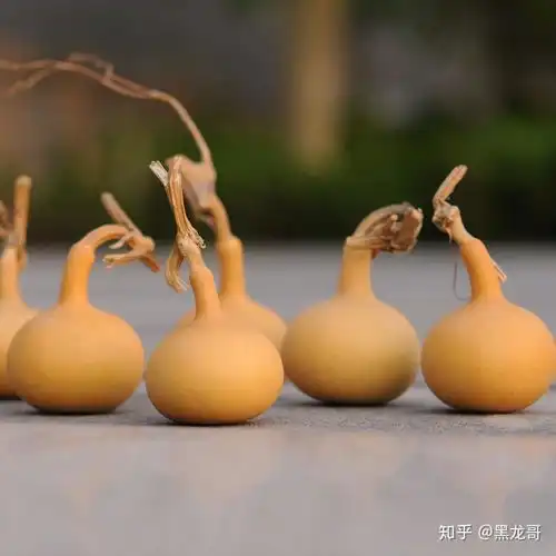 关于文玩葫芦你确定玩对了吗