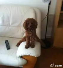 爆笑图集有注意龙门镖局里各种恶搞书法