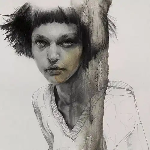 用素描也可以画的这么美