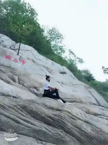 我从小就有个梦要到嵩山少林寺学武功