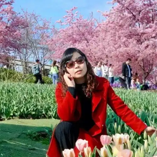 潜心教育筑梦成长我身边的最美二中人