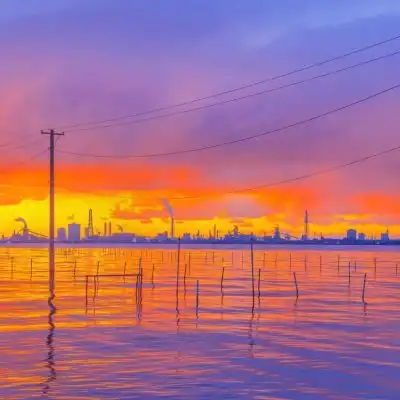 2021适合秋季的橘色夕阳个性头像仅一次的人生当然要活的比谁都炽热