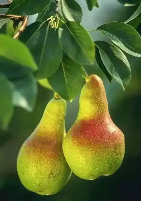 送给所有很累的人,我也感同身受