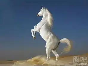 关键的是智慧教育,智慧医院,智慧政法三驾马车正在昂首嘶鸣据我对市场的了解