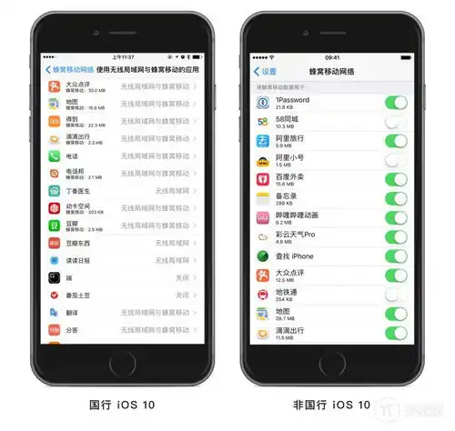 具透你可能不知道,ios10有一个中国特供的联网权限功能