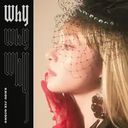 why周洁琼高音质在线试听why歌词歌曲下载酷狗音乐