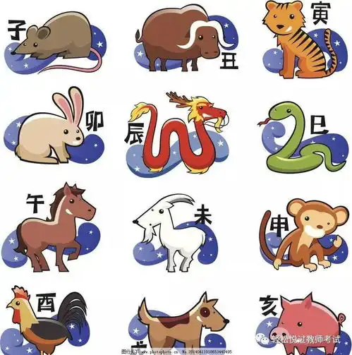 打卡一天一点文化素养二