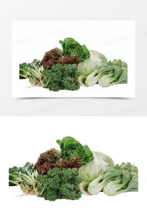 食物卡通图片大全可爱简单又好画