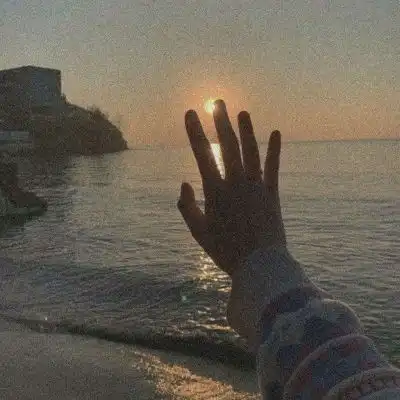 沈曦ins唯美意境手控背景图凋落风景静物头像我要个性网