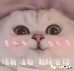 今天这里太热闹民俗表演庙会商市,小编眼花缭乱啦