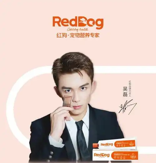 这个月里,九位明星加入宠物行业
