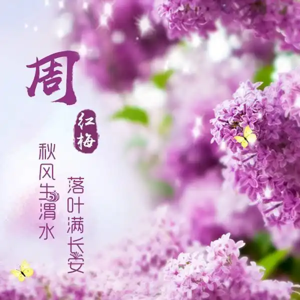 你应该换头像了,9款11张百家姓头像,6款6张姓名头像,不要错过