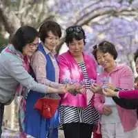 大妈级别的微信头像