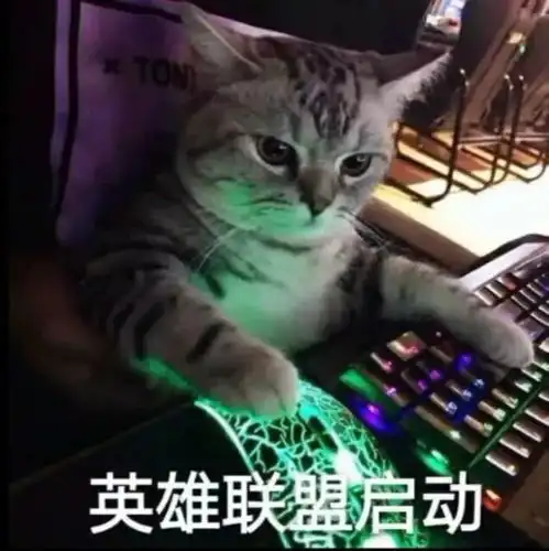 电竞玩家必备表情包