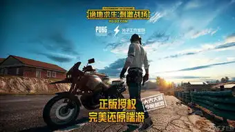 绝地求生云空pc辅助绝地求生云空辅助外挂v1.0绿色版下载9553下载