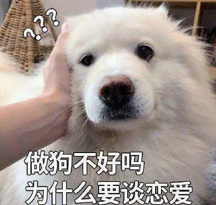 狗狗绝育的利与弊,建议铲屎官收藏