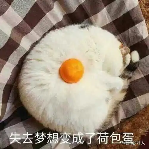 有没有北欧风手绘绿植图片