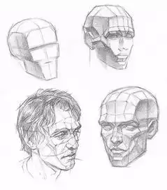 素描结构这样总可以好好学素描了吧