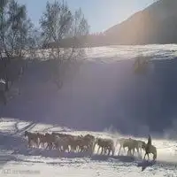 关于冰雪的头像唯美冰雪世界微信头像