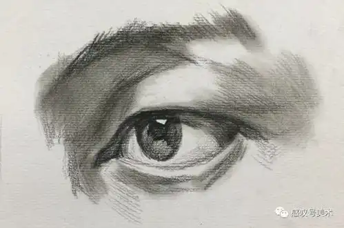 素描头像五官眼睛的绘画︱从大的结构到体块的分析