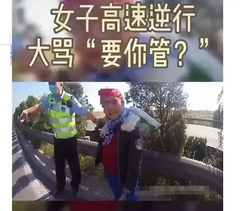 大妈高速上逆行,交警劝说20分钟,终于将其劝离