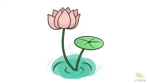 各种各样美丽的花朵简笔画大全