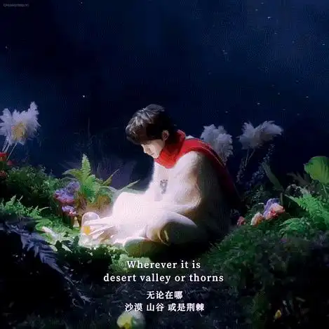 小星星与小王子