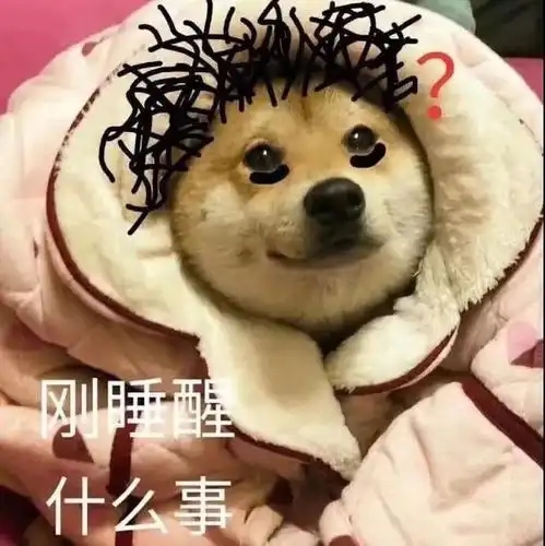 表情包七十二期