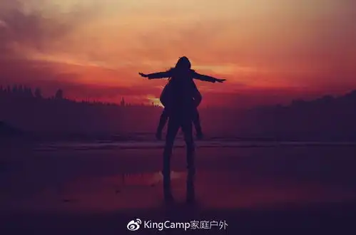 豆瓣9.5分最适合假期看的10部优秀户外电影给灵魂放个假