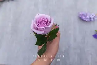 星空下的神秘魔法圣诞特辑13