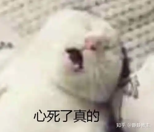 能者多劳到底是不是坑