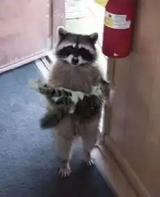 当沙雕猫咪变成手办,数十万网友直呼我要买