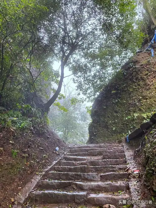 雨天去拜访一位隐居青城山里的修行人,不料竟有意外收获