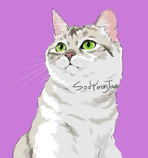 进来让小奶猫治愈一下你吧