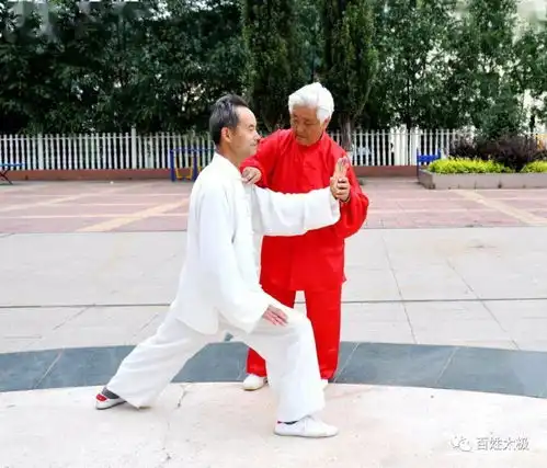 扎西精神无私奉献,人间大爱纪录永远一一李顺秋老师拍摄图片请各位拳友认领珍藏