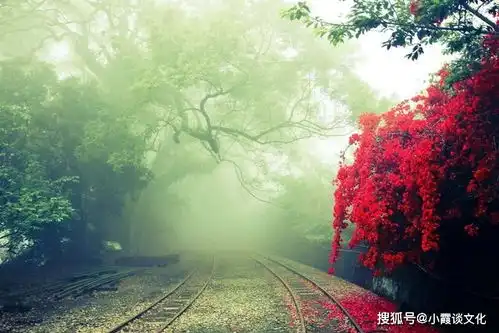 唯美有深意的说说句子,透彻走心,富含智慧