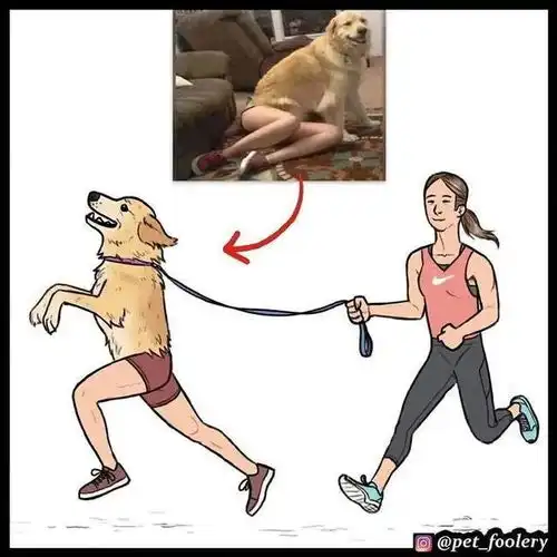 这都是什么沙雕漫画,笑得我满地找头