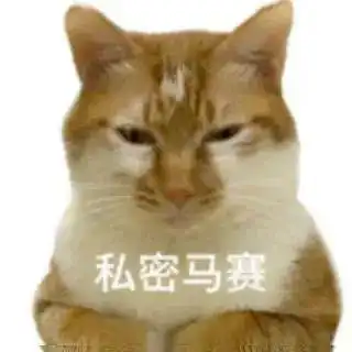 0元购猫咪掏掏乐,拆家猫咪的精力终于有地方发泄了