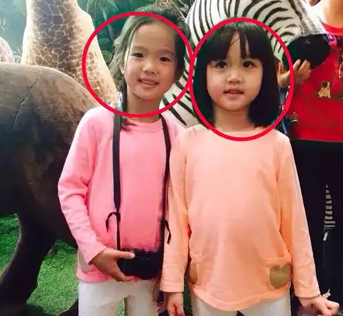 还记得钟丽缇二女儿吗曾被嘲颜值不如妹妹,如今十二岁整容式长大