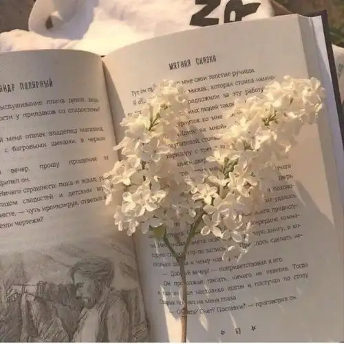 干啥啥不行,天天穷开心